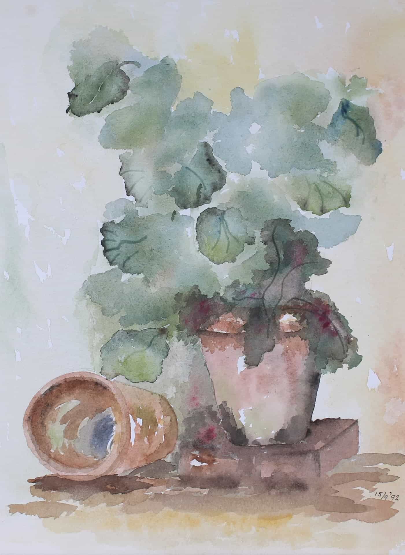 Plant in pot - 1992
